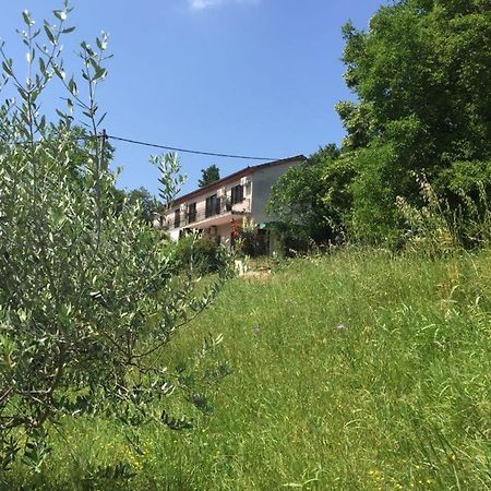 Apartment Cimbora, Salara Farmhouse 코페르 외부 사진